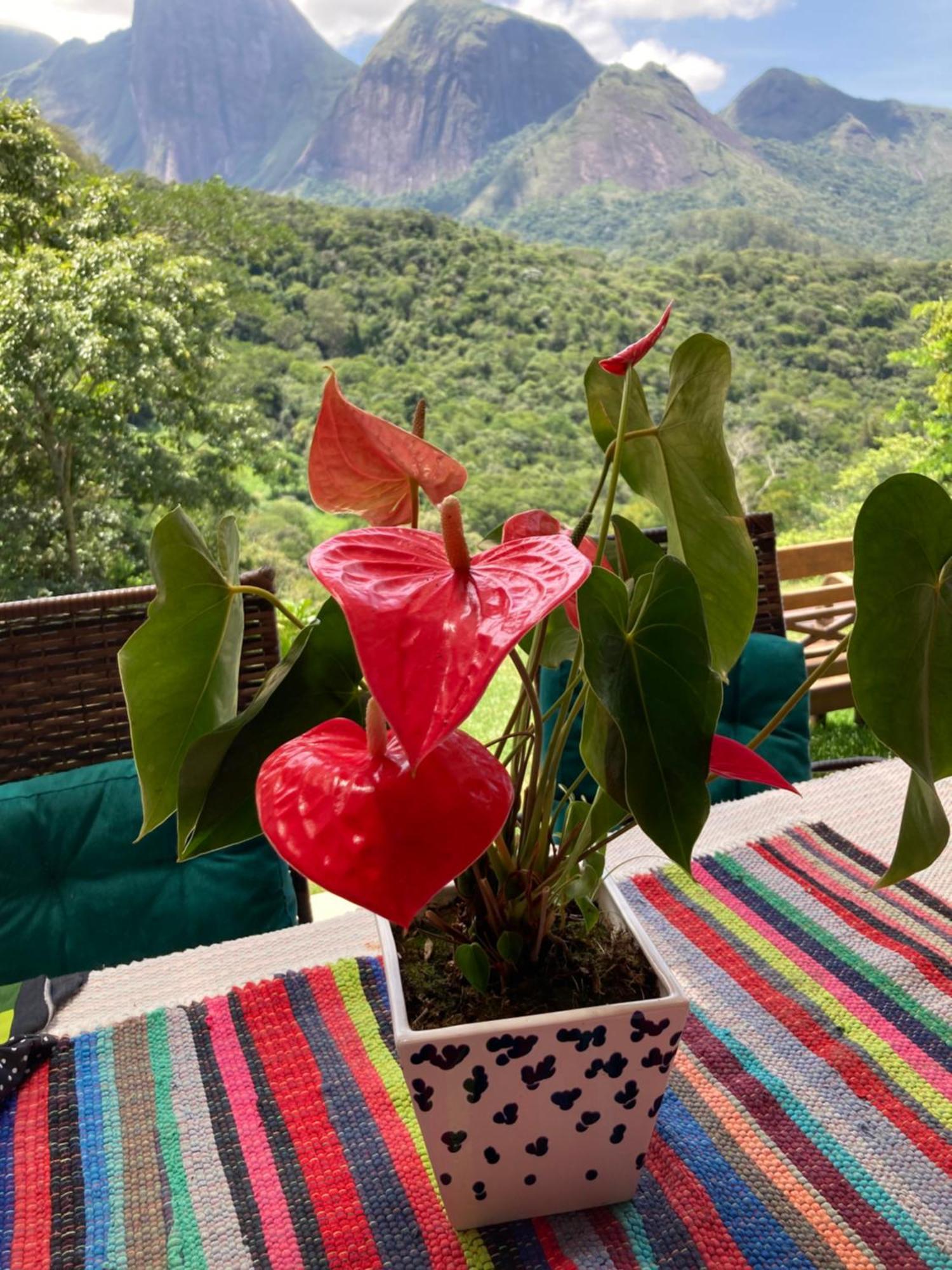 A Cabana Mais Bucolica De Araras เปโตรโปลิส ภายนอก รูปภาพ